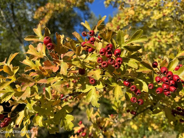 900 Trestle Creek RD, Hope, ID 83836