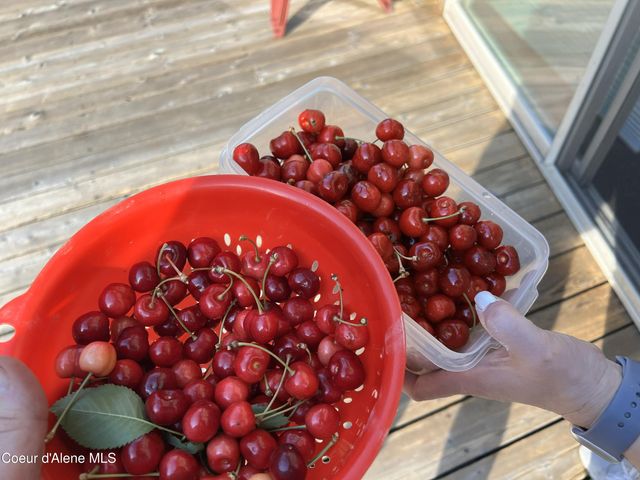 900 Trestle Creek RD, Hope, ID 83836