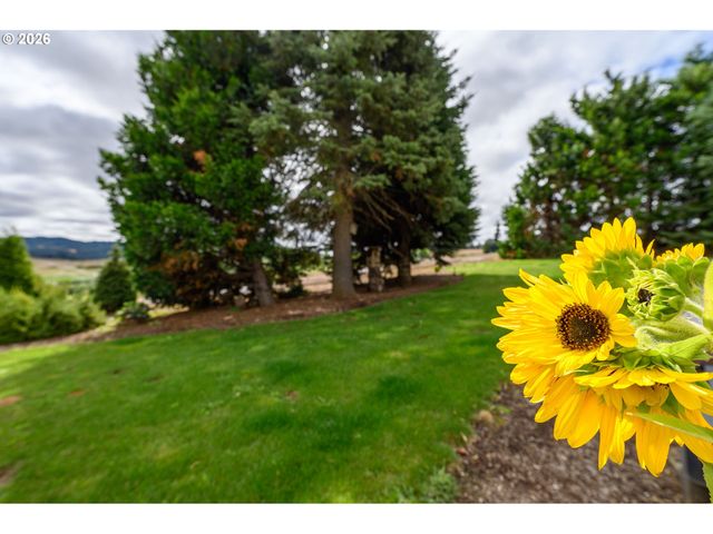 12345 Sw SPRING HILL Rd, Gaston, OR 97119
