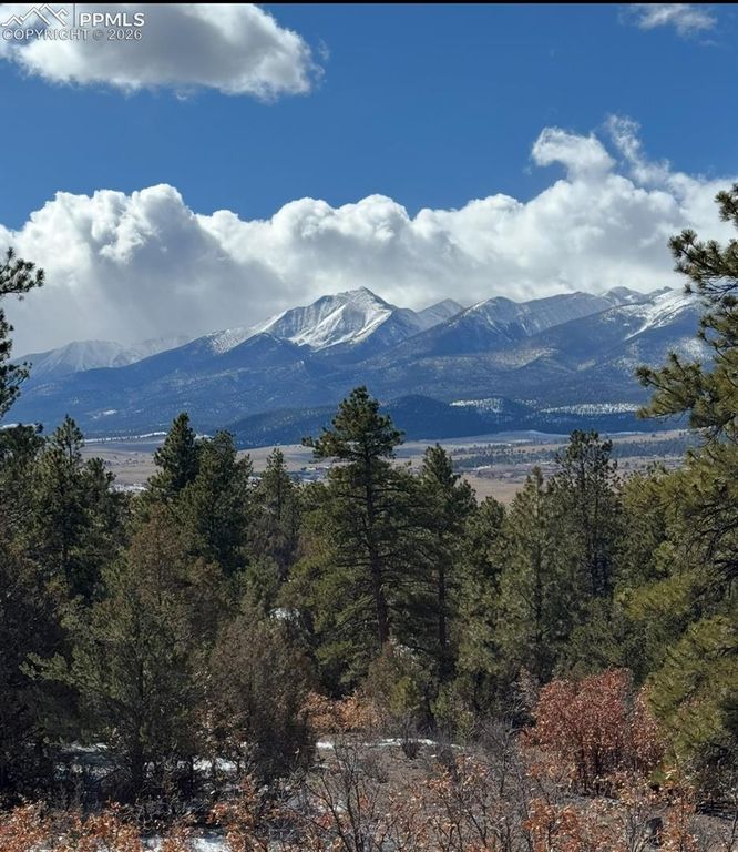 209 Rosewood Road, Westcliffe, CO 81252 — photo 3