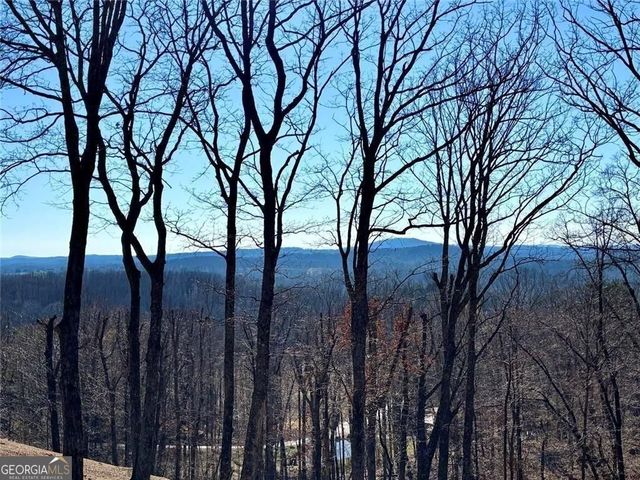 163 Beauregards Knob, Ellijay, GA 30536