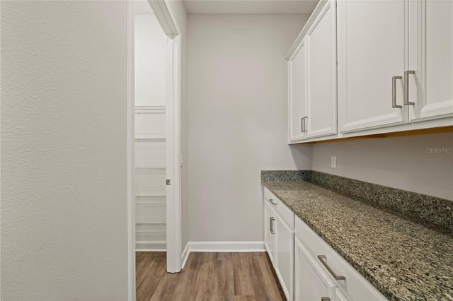 31875 MAGNA GULF LOOP, San Antonio, FL 33576