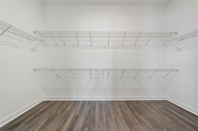 31875 MAGNA GULF LOOP, San Antonio, FL 33576