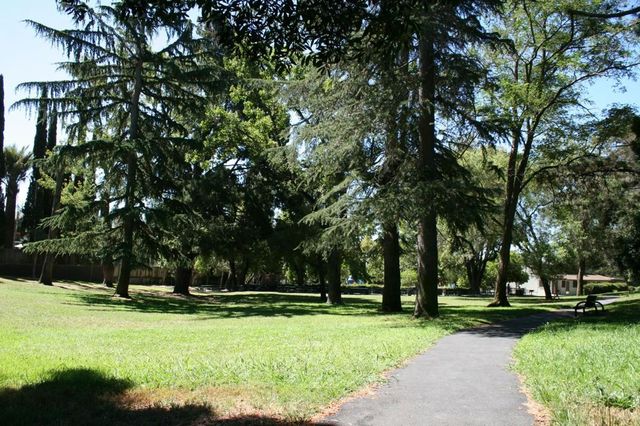 3864 Wilson Ave, Castro Valley, CA 94546