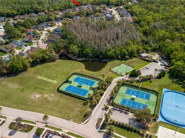 10515 CANARY ISLE DRIVE, Tampa, FL 33647