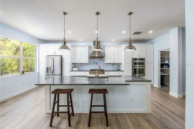 10515 CANARY ISLE DRIVE, Tampa, FL 33647