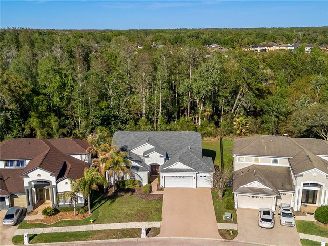 10515 CANARY ISLE DRIVE, Tampa, FL 33647