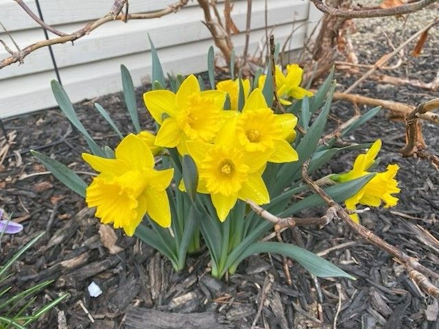 23 Geneva Court, Bloomington, IL 61704