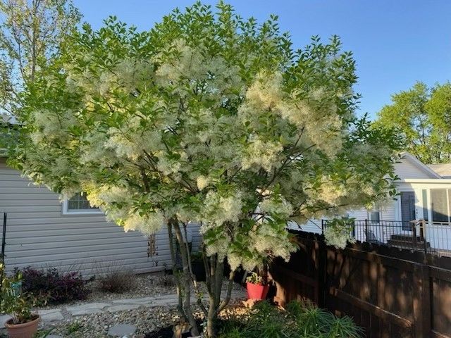 23 Geneva Court, Bloomington, IL 61704