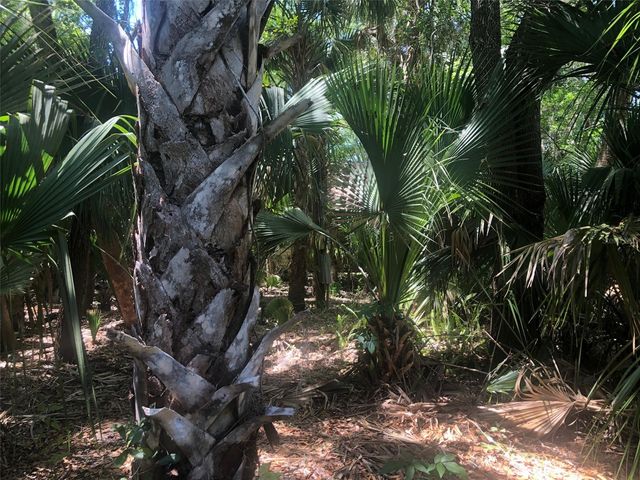 241 NOVA DRIVE, Sanford, FL 32771