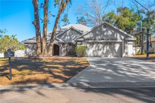 11534 RIVER COUNTRY DRIVE, Riverview, FL 33569