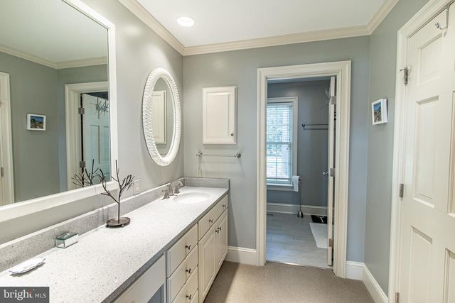 4335 WORLD FARM RD, Oxford, MD 21654