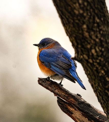 3042 Johnny Court, Augusta, GA 30906