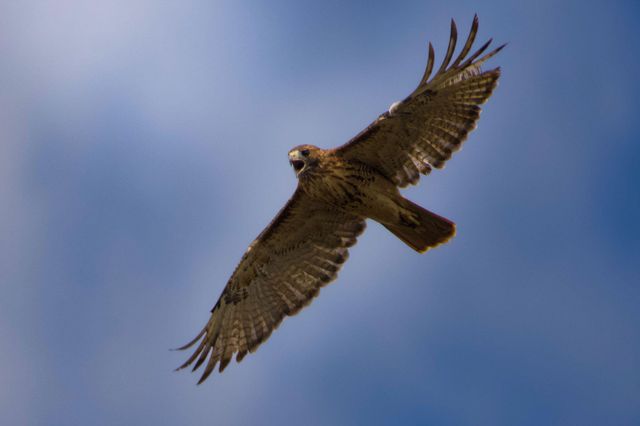 3042 Johnny Court, Augusta, GA 30906