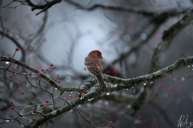 3042 Johnny Court, Augusta, GA 30906