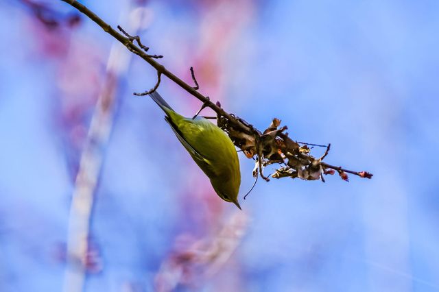 3042 Johnny Court, Augusta, GA 30906