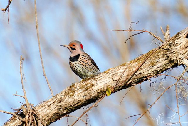 3042 Johnny Court, Augusta, GA 30906