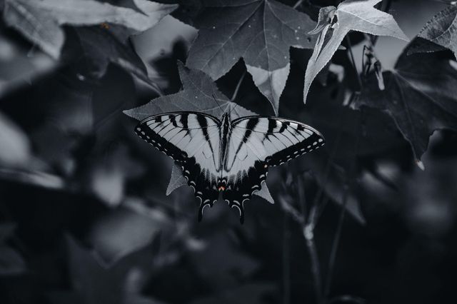 3042 Johnny Court, Augusta, GA 30906