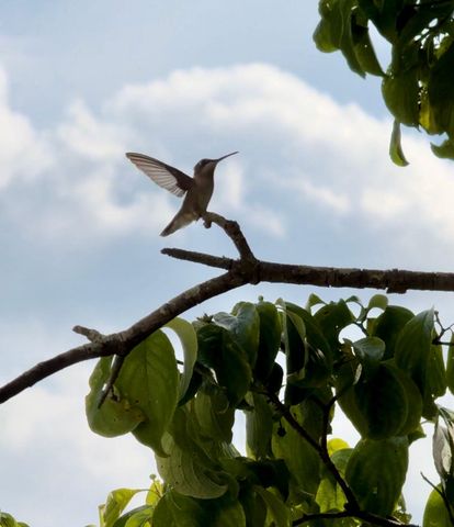 3042 Johnny Court, Augusta, GA 30906