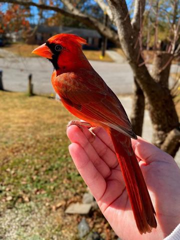 3042 Johnny Court, Augusta, GA 30906