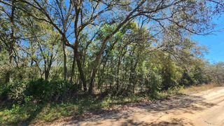 Cordell Ave, Interlachen, FL 32148