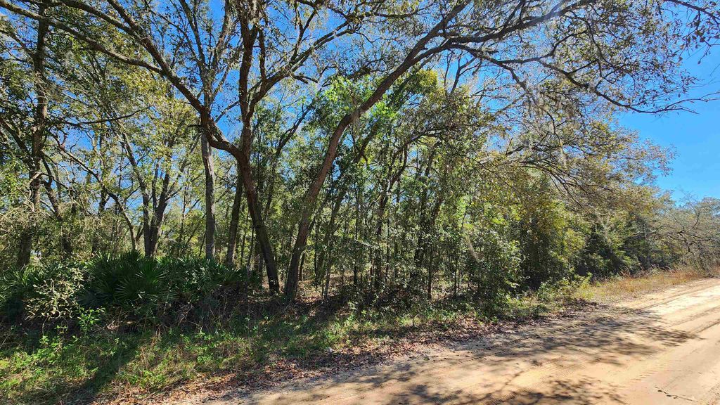 Cordell Ave, Interlachen, FL 32148