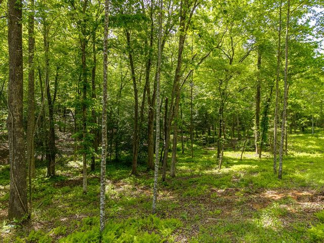 522 Lees Ride, Mccaysville, GA 30555