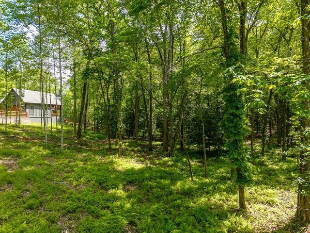 522 Lees Ride, Mccaysville, GA 30555