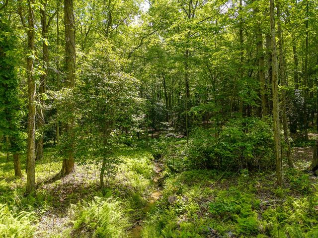 522 Lees Ride, Mccaysville, GA 30555