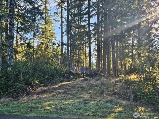 1190 E Manzanita Drive, Union, WA 98592