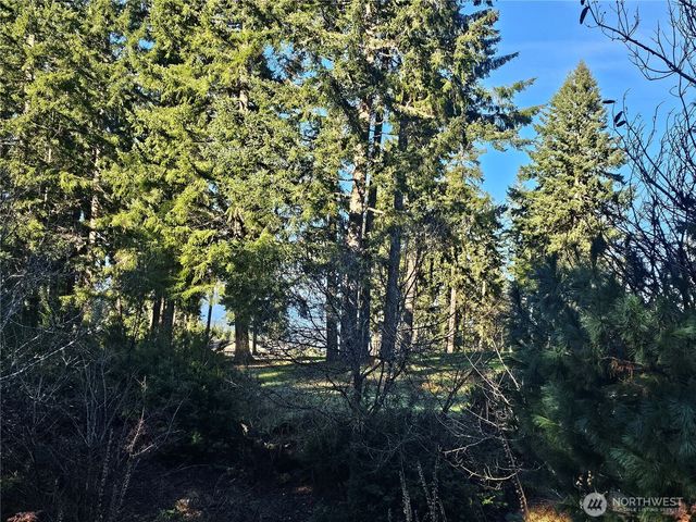 1190 E Manzanita Drive, Union, WA 98592