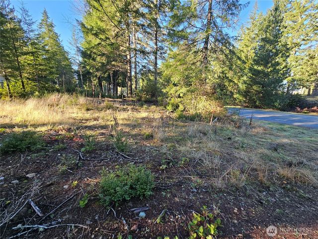1190 E Manzanita Drive, Union, WA 98592