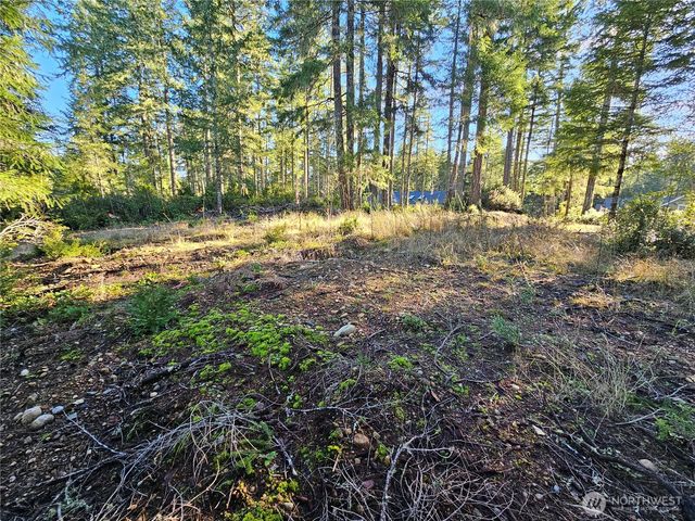 1190 E Manzanita Drive, Union, WA 98592