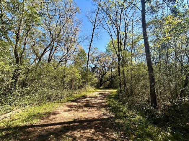 0 Ripple Creek Dr, Coldspring, TX 77331