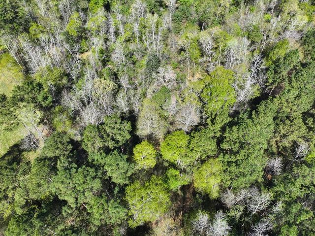 0 Ripple Creek Dr, Coldspring, TX 77331