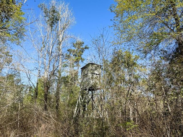 0 Ripple Creek Dr, Coldspring, TX 77331
