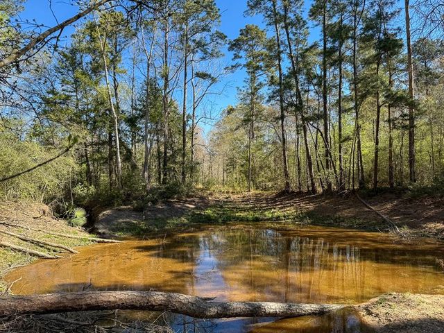 0 Ripple Creek Dr, Coldspring, TX 77331