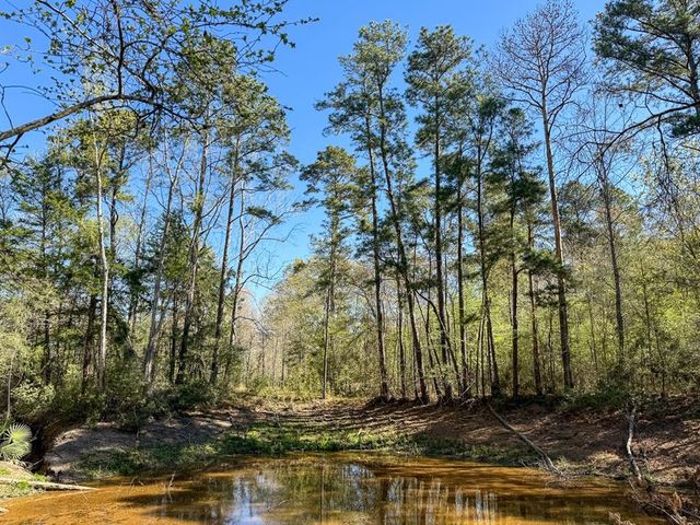 0 Ripple Creek Dr, Coldspring, TX 77331