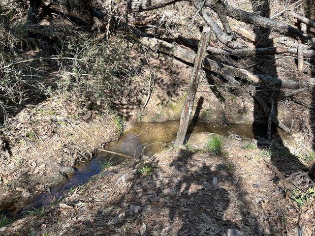 0 Ripple Creek Dr, Coldspring, TX 77331