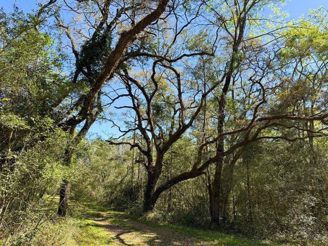 0 Ripple Creek Dr, Coldspring, TX 77331