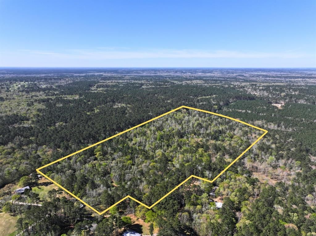 0 Ripple Creek Dr, Coldspring, TX 77331