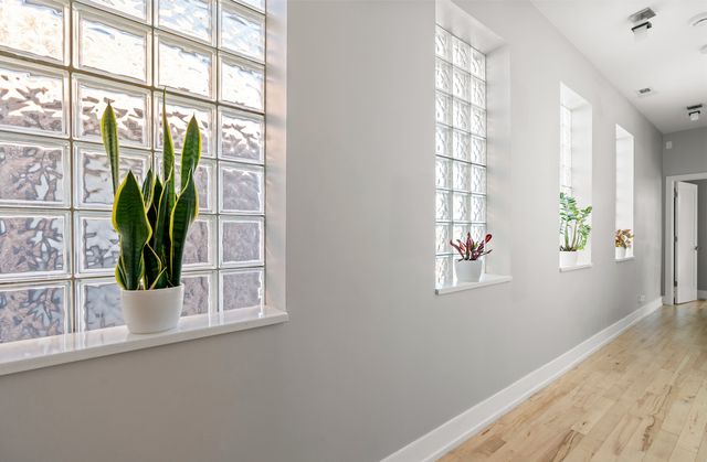 817 N Winchester Avenue 3, Chicago, IL 60622