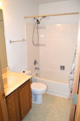 1609 Orchard Avenue, Schaumburg, IL 60193