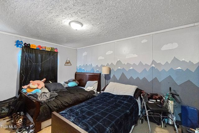 3363 Babbs Mill Road, Afton, TN 37616