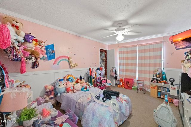 3363 Babbs Mill Road, Afton, TN 37616