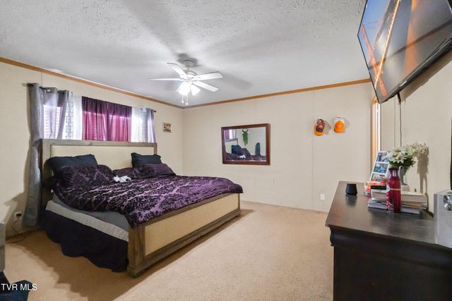 3363 Babbs Mill Road, Afton, TN 37616