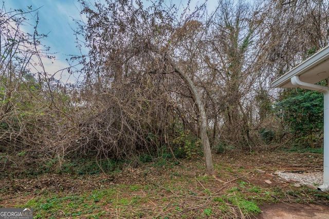 2131 Meador Avenue SE, Atlanta, GA 30315