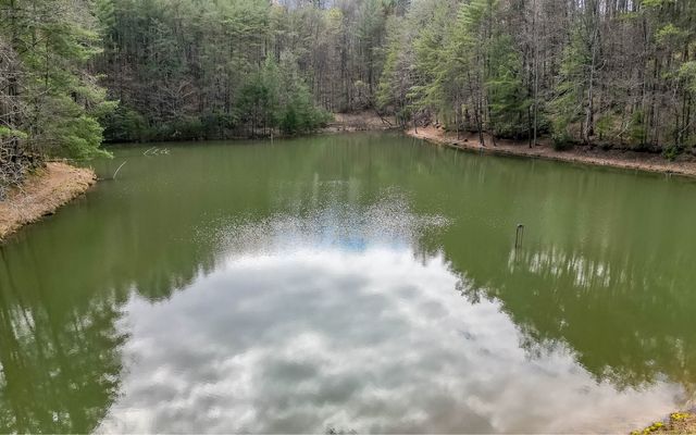 60 Clubhouse Court, Ellijay, GA 30536