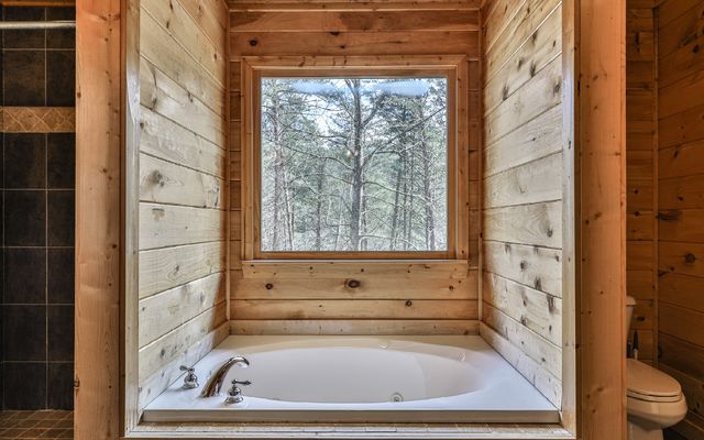 60 Clubhouse Court, Ellijay, GA 30536