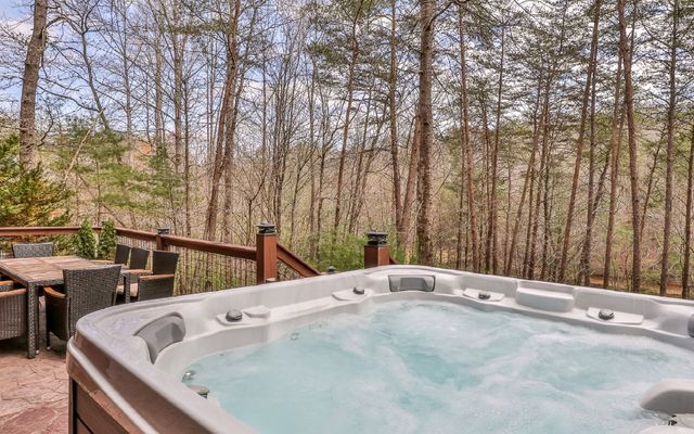 60 Clubhouse Court, Ellijay, GA 30536